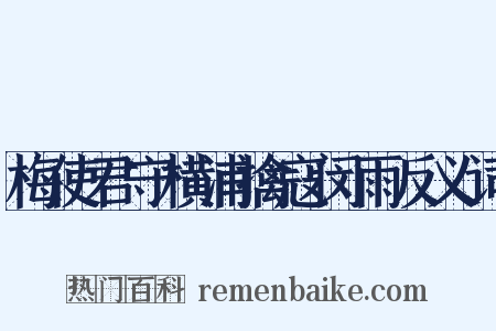 梅使君守横浦擒寇闵雨反义词是什么意思的图片
